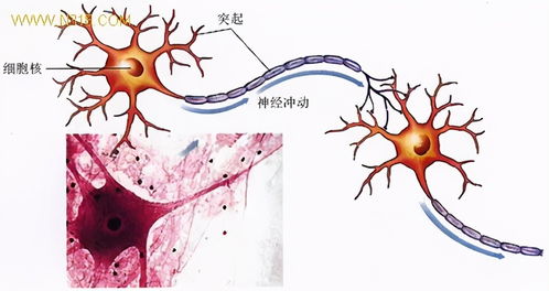 生物農藥與化學農藥 如何科學選擇，這里有深入分析